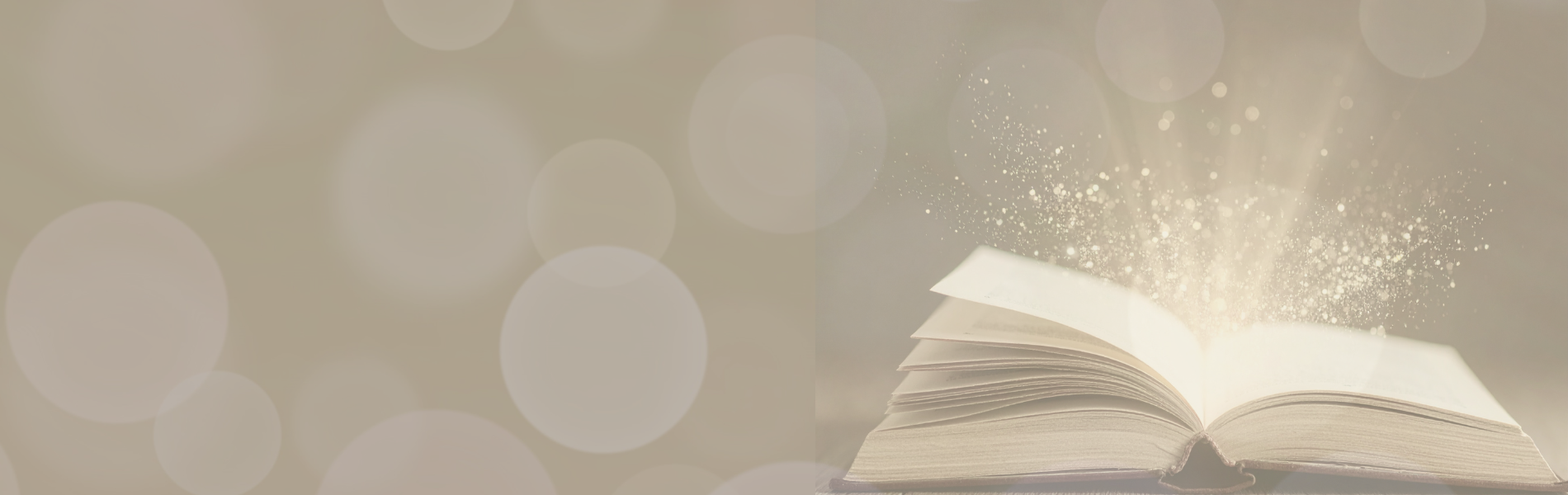 天海レイ占い師教育プロデュースプログラム